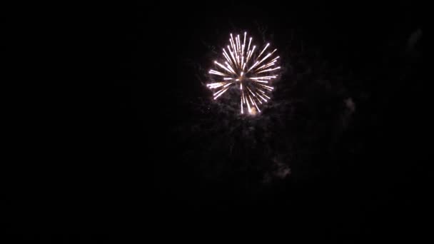 Leuchtendes Feuerwerk mit Bokeh-Lichtern am Nachthimmel. Glühendes Feuerwerk. Silvesterfeuerwerk. Ein buntes Feuerwerk am Nachthimmel. schöne farbige nächtliche Explosionen in schwarz — Stockvideo