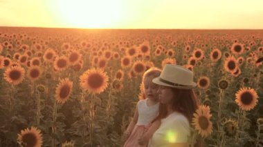 Bir çiftçinin kollarında küçük bir kız anne, güzel bir gün batımının ışınları altında bir ayçiçeği tarlasında yürüyor. Sevgi dolu bir aile, çiçek açan bir ayçiçeği çiftliğinde seyahat eder. ekolojik turizm