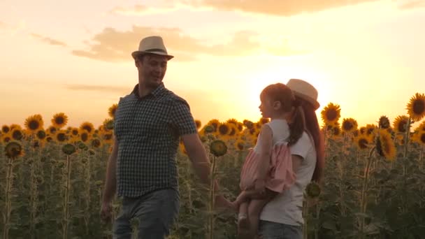 一个充满爱心的家庭在一个盛开的向日葵种植园里玩耍和旅行。一个小女儿抱着农民的父母，在美丽的落日的余晖中走过向日葵地. — 图库视频影像
