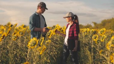 Dizüstü bilgisayarı olan çiftçi erkek ve kadın ayçiçeği tarlasında tokalaşıyorlar. tarım sektörü konsepti. İş adamı ve tarımcı, tohum hasadını değerlendirmek için tarlada çalışıyor. takım çalışması