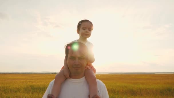 En far går med sin dotter på axlarna i solnedgångar på fältet. Pappa bär på sina älskade barns axlar i solen. barn med föräldrar går vid solnedgången. lycklig familj vilar i parken. — Stockvideo