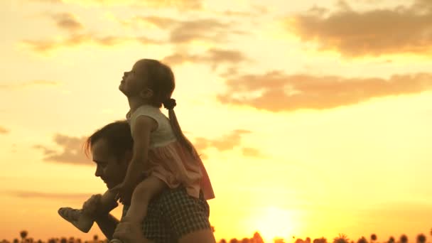 Una figlia piccola su spalle di papà di agricoltori cammina attraverso campo di girasole in raggi di bel tramonto. amorevole famiglia viaggia attraverso fioritura piantagione di girasole, turismo ecologico — Video Stock