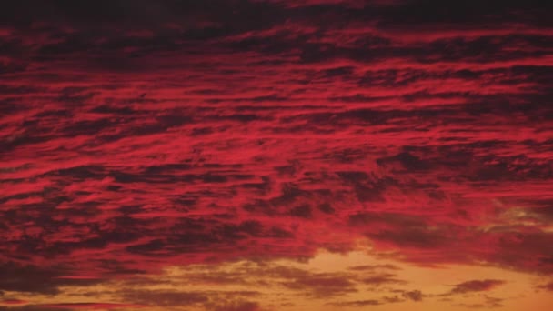 Red orange sunset. bright bloody sky. 4K video cloud. sky with stone texture. Red background with clouds. colored sunset sky clouds. evening clouds over an island in ocean. sunset before the storm — Stock Video