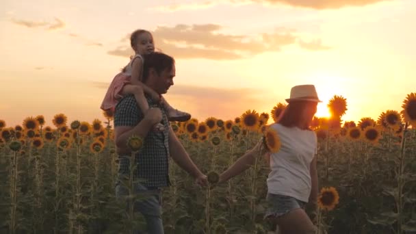 小女儿，在农民的肩上，爸爸妈妈正沿着向日葵地走着，阳光灿烂，夕阳西下。充满爱心的家庭穿越盛开的向日葵种植园、生态旅游 — 图库视频影像