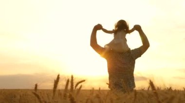 Küçük kızım babasının omuzlarında. Çocuk ve ebeveyn doğada oynuyorlar. Mutlu aile ve çocukluk kavramı. Mutlu çocuk ve baba olgunlaşan buğday tarlasında oynuyorlar. Bebek ve baba tarlada seyahat ediyor..