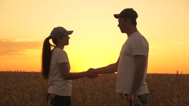 Händedruck von Bauern, die bei Sonnenuntergang auf einem Weizenfeld arbeiten. Agronom und Geschäftsmann arbeiten im Feld mit einer Tablette in der Sonne. Weizenernte reif auf dem Feld. Biolandbau und Familienunternehmenskonzept. — Stockvideo