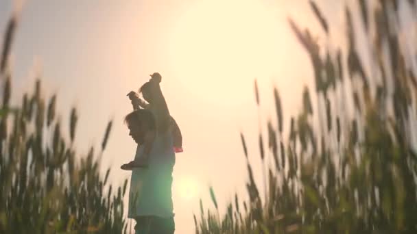 Dcera na ramenou otce. Dítě a táta cestují na pšeničném poli. Dítě a rodiče si hrají v přírodě. Šťastný rodinný a dětský koncept. Týmová práce — Stock video