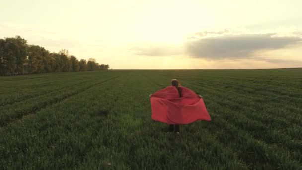 O adolescente sonha em se tornar um super-herói. jovem menina de manto vermelho, expressão dos sonhos. Menina super-herói feliz, corre no campo verde em manto vermelho, tremulação de manto no vento. criança brinca e sonha. Movimento lento. — Vídeo de Stock