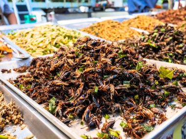 Fried insects in the night market street food of Thailand