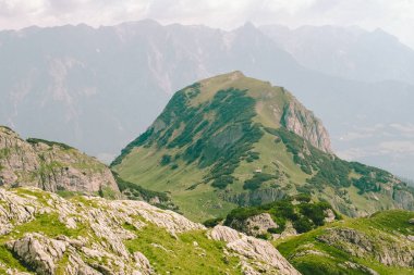 Doğa, ağaçlar ve ciğeri. Mavi gökyüzü. Turizm vahşi dinlenme