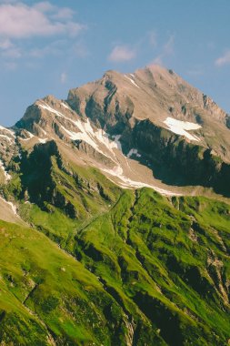 Doğa, ağaçlar ve ciğeri. Mavi gökyüzü. Turizm vahşi dinlenme
