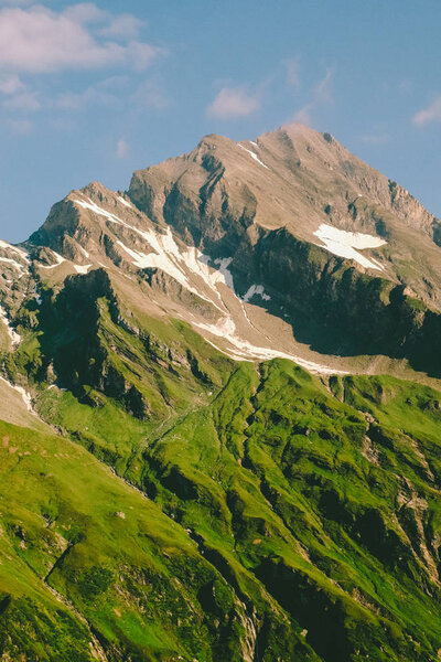 Nature, trees and gras. Blue sky. Tourist Wild rest