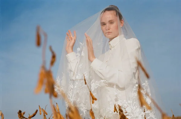 Beautiful bride in a white wedding costume. field, corn white woman boquet veil
