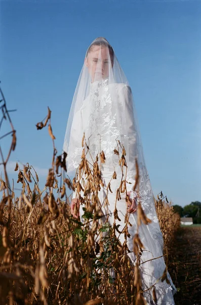 Beautiful bride in a white wedding costume. field, corn white woman boquet veil