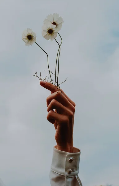 Güzel gelin beyaz gelinlik kostüm. alan, Mısır beyaz kadın boquet peçe