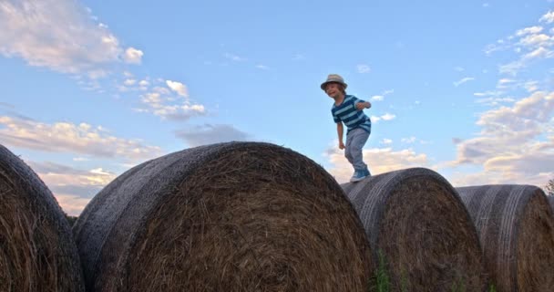 Scenic Footage Kid Jumping Hays Beautiful Green Field Evening — Stock Video