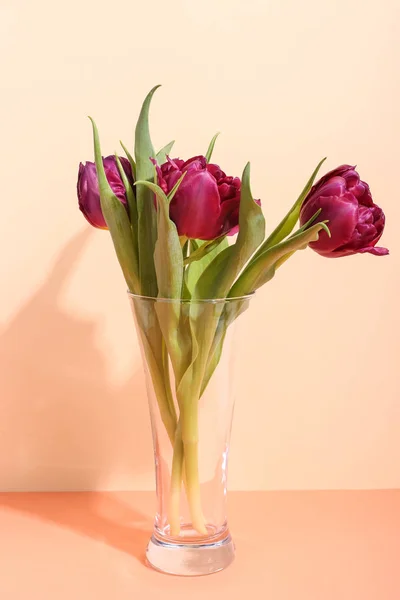 Тюльпаны в вазе на ярком фоне, утренняя тень от солнечного света. Концепт-арт для поздравительных открыток . — стоковое фото