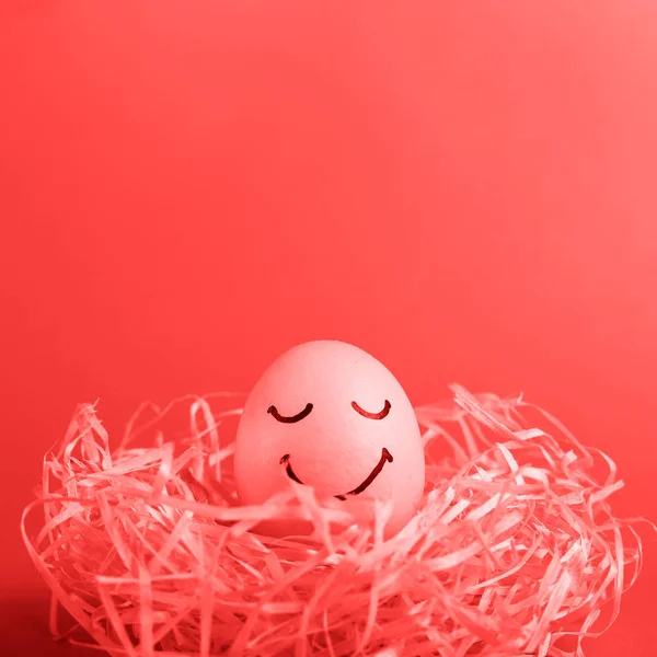 Coral egg with painted smiles in the nest, copy space. Happy Easter concept greeting card design. — Stock Photo, Image