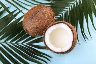 Hindistan cevizi ve palmiye yaprakları, kopya alanı. Yaz ruh hali, tropikal arka plan, boş.