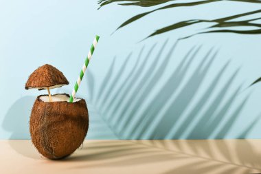 Açık bir Hindistan cevizi ve palmiye yaprakları renkli bir arka plan üzerinde gölge kokteyl. Yaz ruh, hasat.