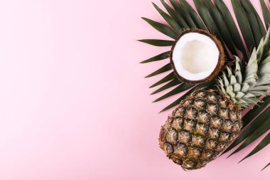 Hindistan cevizi ve renkli bir arka plan üzerinde ananas. Yaz ruh hali, kopya alanı.