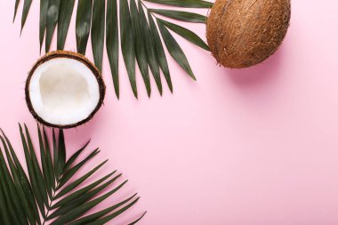 Hindistan cevizi ve palmiye yaprakları, kopya alanı. Yaz ruh hali, tropikal arka plan, boş.