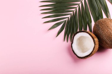 Hindistan cevizi ve palmiye yaprakları, kopya alanı. Yaz ruh hali, tropikal arka plan, boş.