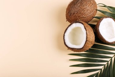 Hindistan cevizi ve palmiye yaprakları, kopya alanı. Yaz ruh hali, tropikal arka plan, boş.