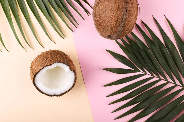 Kokosnuss- und Palmblätter, Kopierraum. Sommerstimmung, tropischer Hintergrund, leer. — Stockfoto