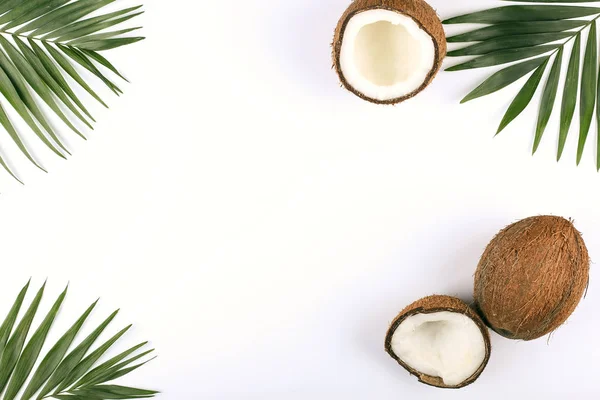 Kokosnuss- und Palmblätter, Kopierraum. Sommerstimmung, tropischer Hintergrund, leer. — Stockfoto