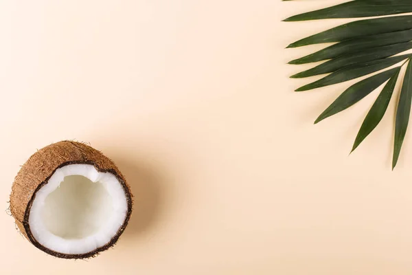 Kokosnuss- und Palmblätter, Kopierraum. Sommerstimmung, tropischer Hintergrund, leer. — Stockfoto