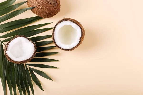 Kokosnuss- und Palmblätter, Kopierraum. Sommerstimmung, tropischer Hintergrund, leer. — Stockfoto