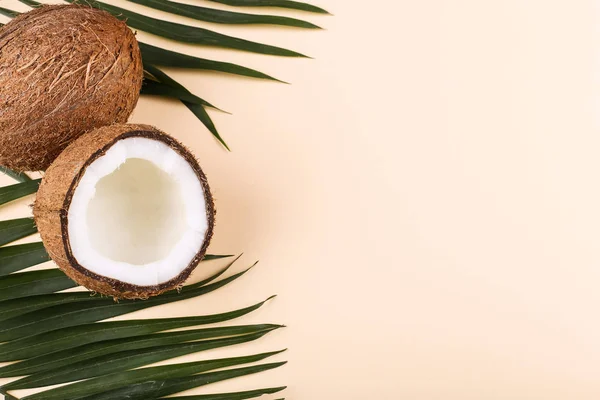 Kokosnuss- und Palmblätter, Kopierraum. Sommerstimmung, tropischer Hintergrund, leer. — Stockfoto