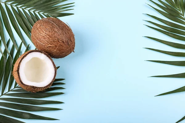 Kokosnuss- und Palmblätter, Kopierraum. Sommerstimmung, tropischer Hintergrund, leer. — Stockfoto