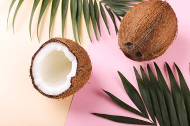 Hindistan cevizi ve palmiye yaprakları, kopya alanı. Yaz ruh hali, tropikal arka plan, boş.