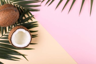 Hindistan cevizi ve palmiye yaprakları, kopya alanı. Yaz ruh hali, tropikal arka plan, boş.