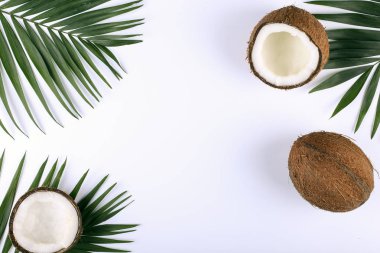 Hindistan cevizi ve palmiye yaprakları, kopya alanı. Yaz ruh hali, tropikal arka plan, boş.