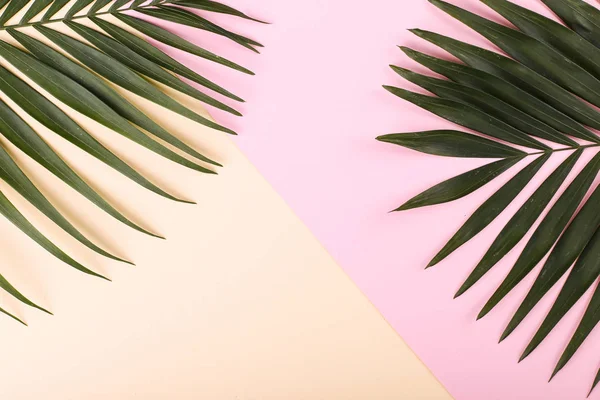 Palm leaves on colored paper. Summer mood, tropical background, blank.