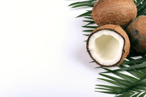 Kokosnuss- und Palmblätter, Kopierraum. Sommerstimmung, tropischer Hintergrund, leer. — Stockfoto