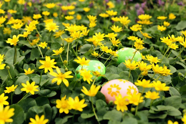 Easter egg hidden in a flower meadow. Tradition hunting and searching for eggs.