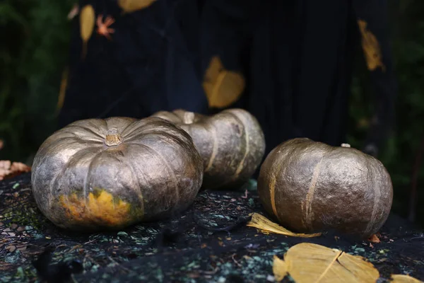 Citrouilles décorées pour les vacances. Préparation d'Halloween, style rustique . — Photo