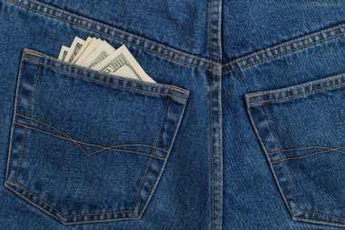 Kot cebinde birkaç yüz dolarlık banknotlar var. İş için zenginlik ve maaş kavramı.