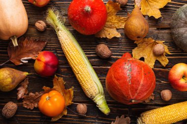 Farklı sebzeler, kabaklar, elma, armut, fındık, domates, mısır, ahşap arka plan üzerinde kuru sarı yaprakları. Sonbahar havası, düz yatıyordu. Hasat konsepti.