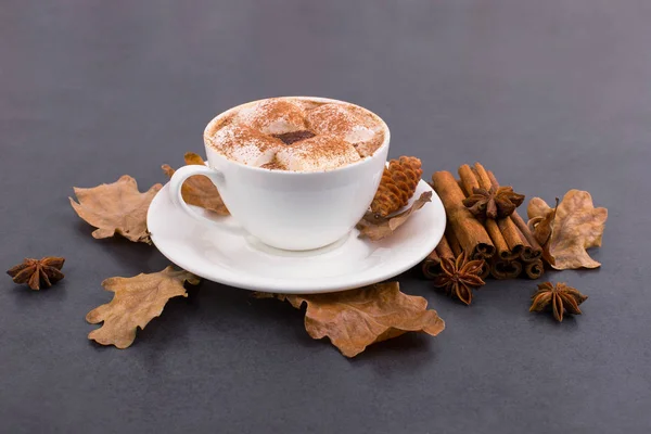 Csésze kávé mályvacukrot és a kakaó, levelek, szárított narancs, fahéj és csillagánizs, szürke kő háttér. Ízletes meleg őszi ital. Lemezterület másolása. — Stock Fotó