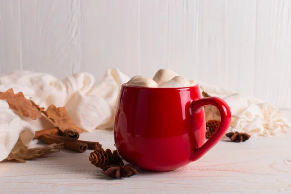 Taza roja con cacao y malvaviscos, sobre un fondo de una bufanda —  Fotos de Stock