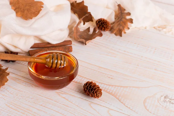 Μέλι, ραβδί, βάζο, κασκόλ, ξερά φύλλα. Ρουστίκ γλυκιά φθινοπωρινή φωτογραφία, — Φωτογραφία Αρχείου