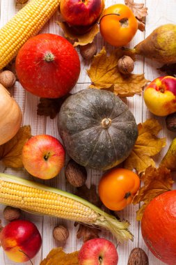 Farklı sebze kabak, elma, armut, fındık, mısır, domates, beyaz ahşap arka plan üzerinde kuru sarı yaprakları. Sonbahar Hasat kavramı, kopya alanı.