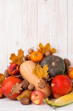 Farklı sebzeler, kabaklar, elma, armut, fındık, mısır, domates ve kuru yapraklar beyaz ahşap arka plan üzerinde. Sonbahar Hasat kavramı, kopya alanı.