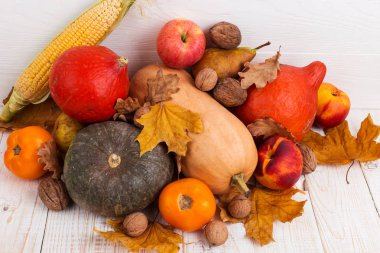 Farklı sebzeler, kabaklar, elma, armut, fındık, mısır, domates ve kuru yapraklar beyaz ahşap arka plan üzerinde. Sonbahar Hasat kavramı, kopya alanı.