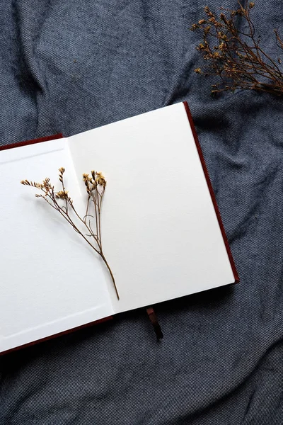 Eski açık kitap kopya alanı için metin, Vintage sesi ile.